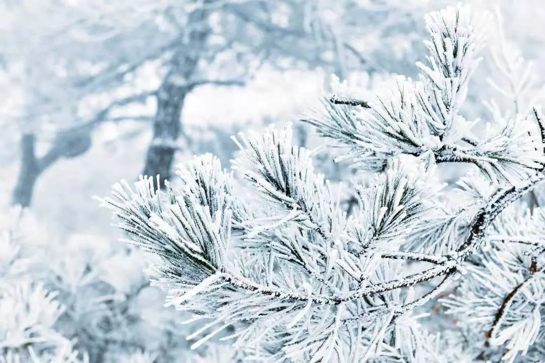 天台|天台绝美雾凇打卡地！这里有着南方人对冰雪的天然向往……