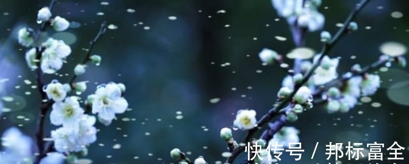 早春@宋朝一位二流的诗人,却写下一流的咏梅诗,通篇充满了诗情画意!