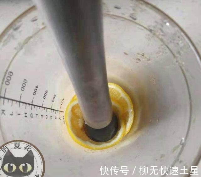 脆皮金桔|金桔柠檬绿茶,酸中带着甜,凉爽又解渴!