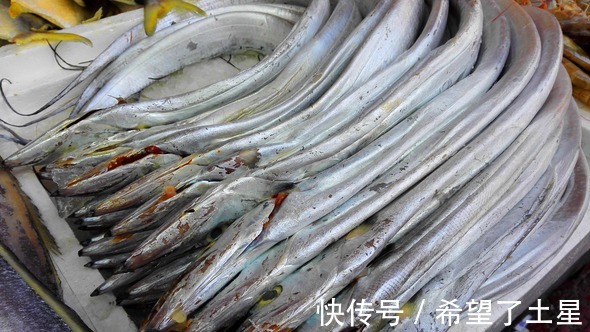 红娘鱼|买鱼时，聪明人专挑这3种鱼，肉质鲜嫩营养高，目前无法人工养殖！