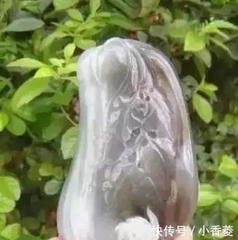  虫子|2亿年前的五条虫子 与大树一起变成了玉石！