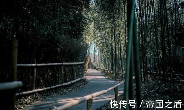 杜甫|十种诗词之最,道尽人生况味