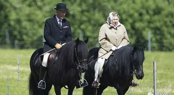 仇恨|93岁的女王,今天也是拉仇恨的一天呢!