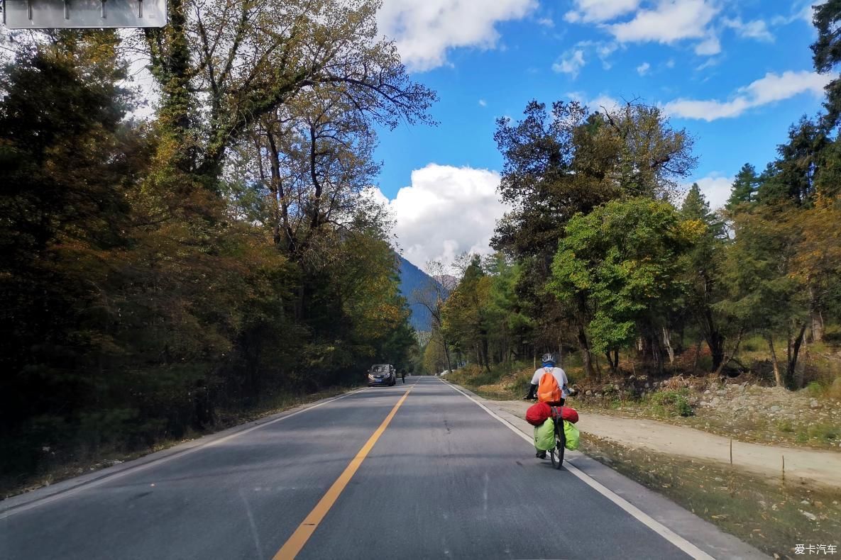 独自自驾游 欣赏最美的岗云杉林 体验环藏之旅的慢生活