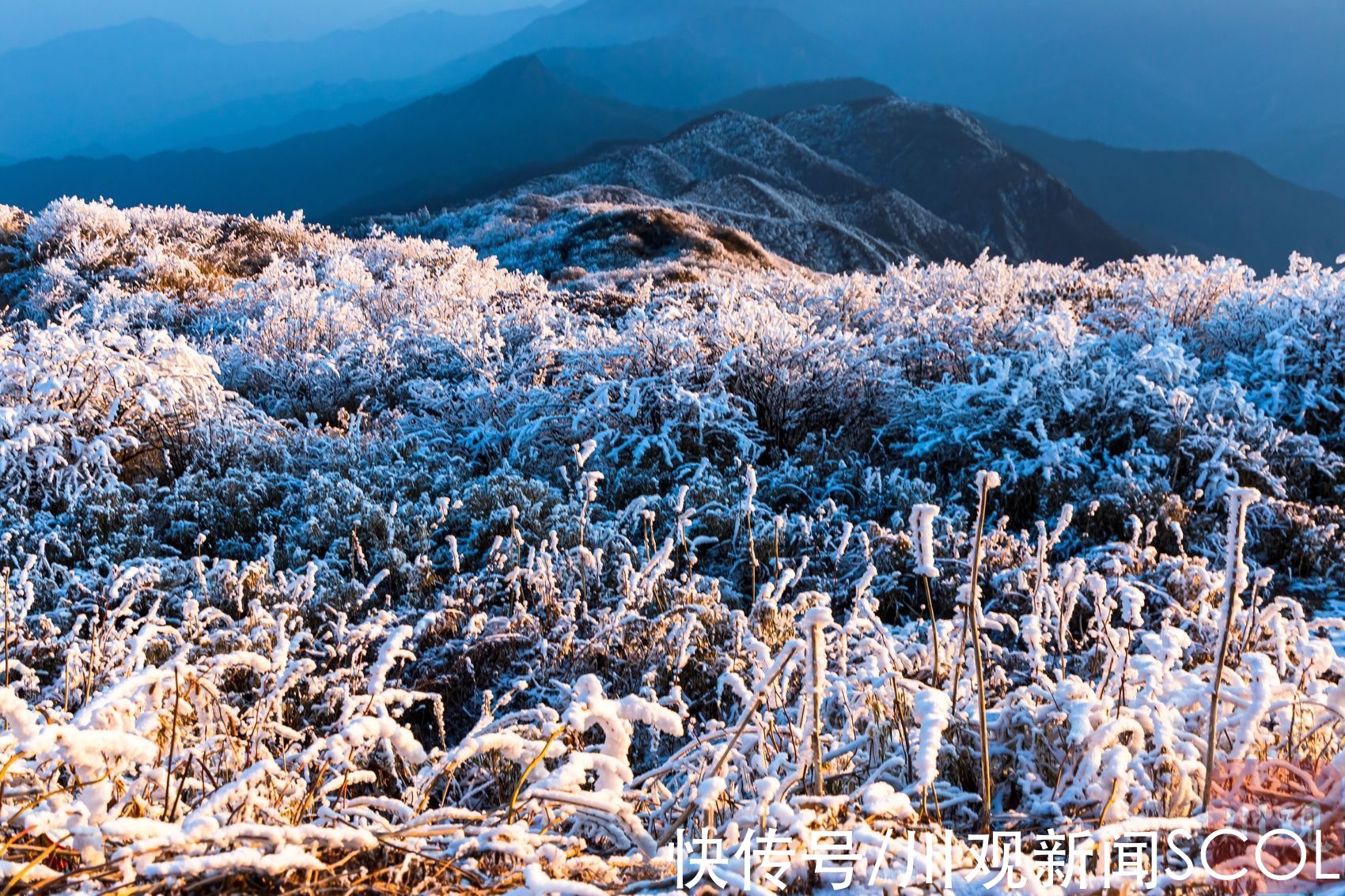 白雪|白雪+雾凇 绵阳千佛山变身“童话世界”