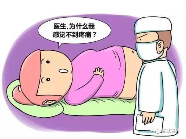 鲈鱼汤|小小的阑尾，也能惹出大麻烦！