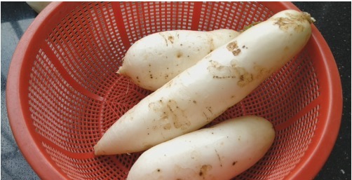 比例|想吃萝卜糕不用出去买,配方比例告诉你,简单好吃,比买的还香