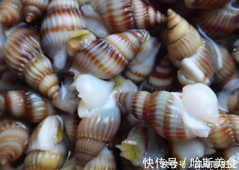 蒜蓉辣酱|立夏后，遇到别错过吃的食物，个头小小却最鲜嫩，简单炒一炒解馋