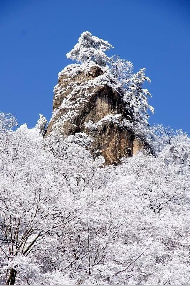 四季轮转，流连忘返~|崆峒山 | 崆峒山