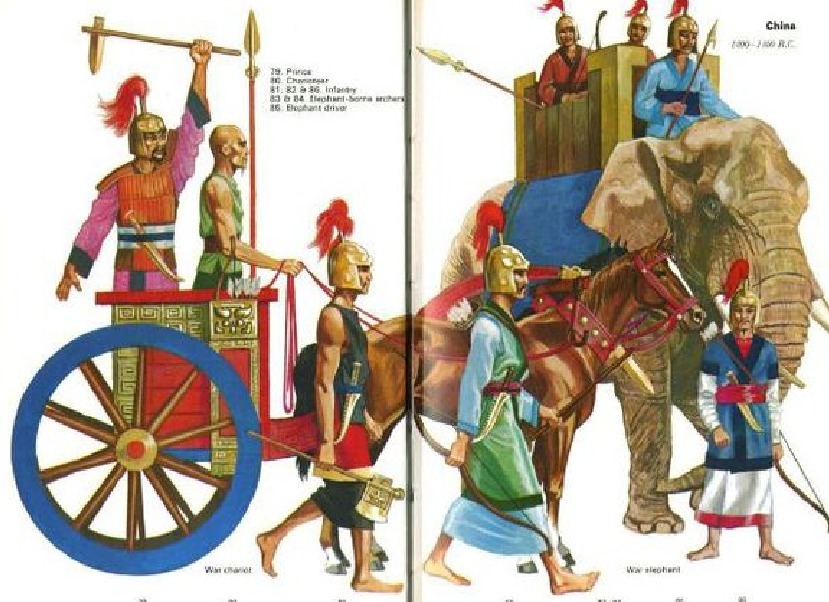 神仙|商朝王牌部队有多牛?虽没《封神演义》的神仙,但他们有战象兵