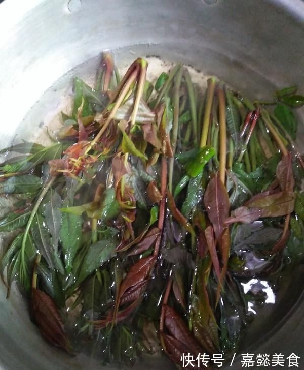 香椿炒鸡蛋|晚上经常失眠梦多,吃些它睡得香,3块钱1斤,一觉睡到大天亮