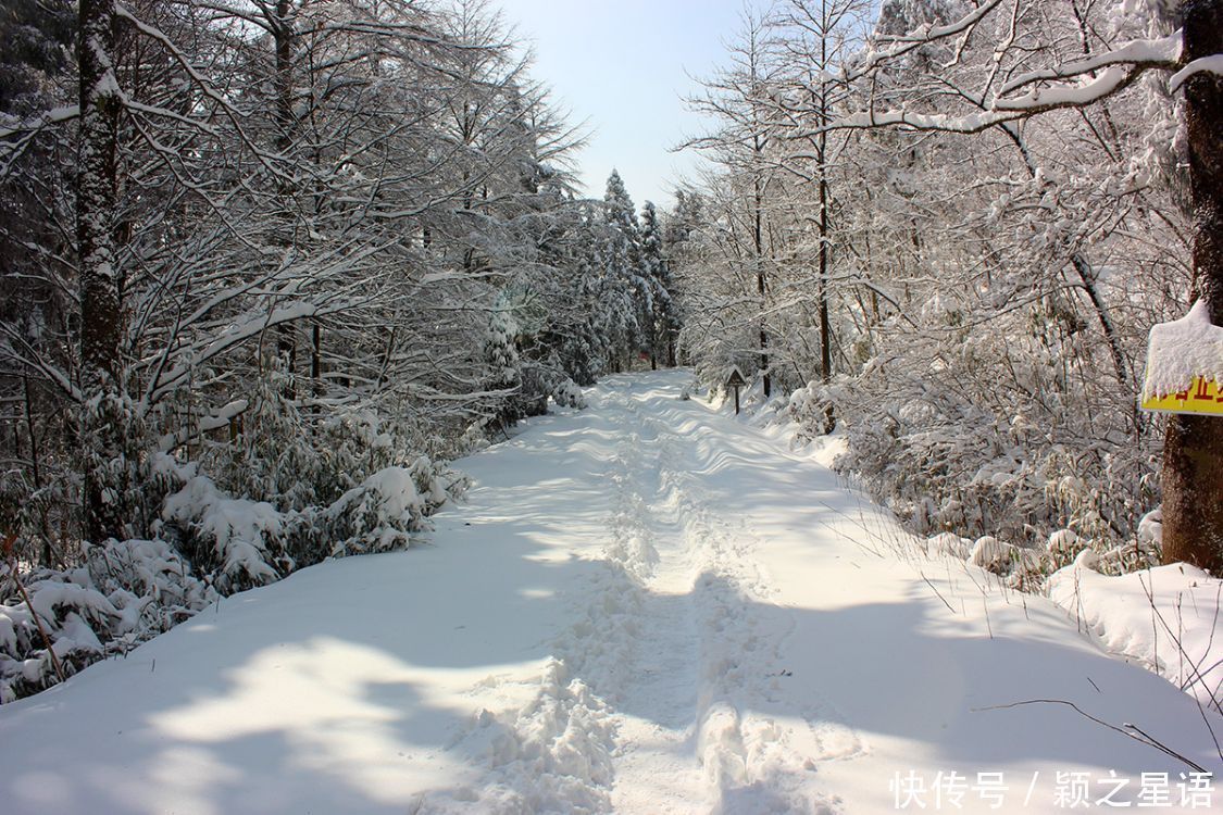 黄泥浆岗|宁波第二高峰，雪国风光，雾凇奇观