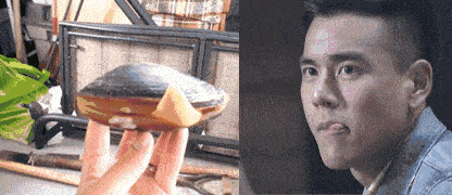 |搞笑GIF:这只蚌成精了