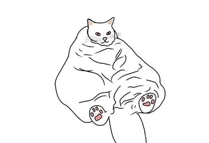 插画作品$插画家画了几只猫,被网友吐槽瞎画,放上原照后,人们直接无语