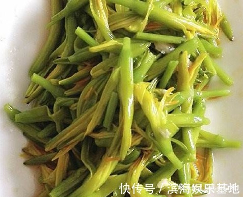 老人|老人脑子不好，经常忘事，不如吃道补脑菜，补脑健脑，提升记忆力