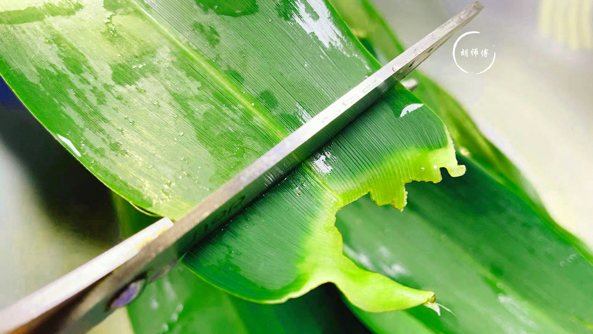 煮粽叶时，最忌只放“水”！多加2样，粽叶柔软又坚韧，不会炸裂