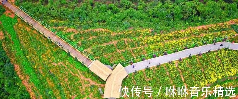 健身|金堂国家登山健身步道成功入选川渝体育旅游精品路线