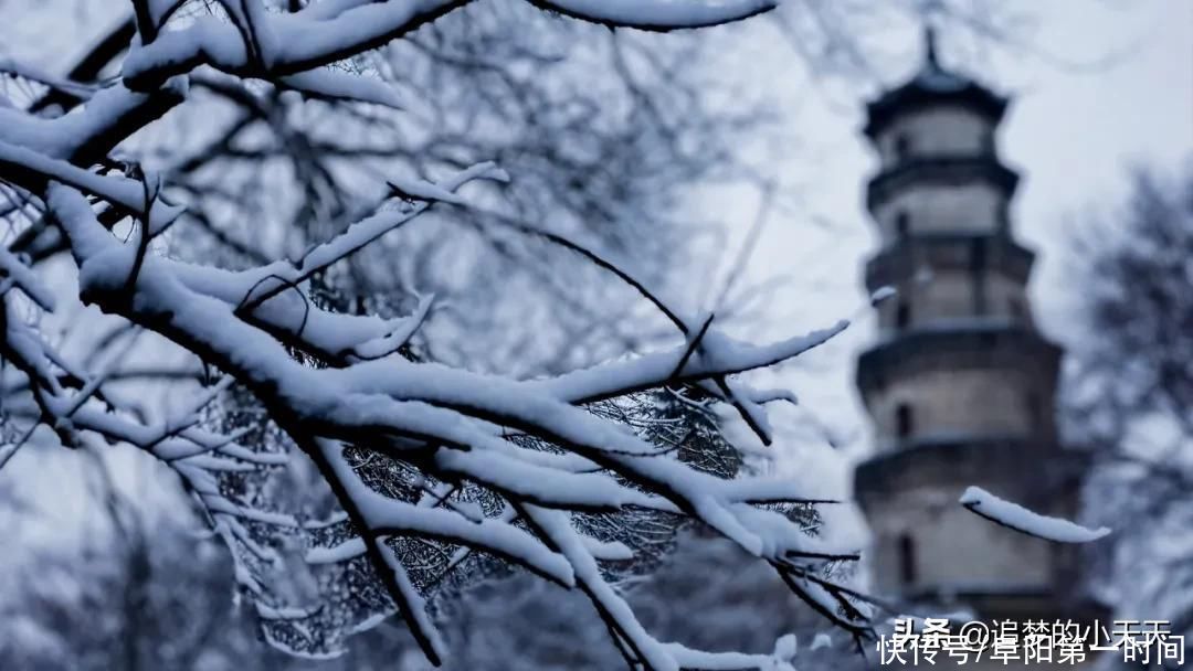 一场雪，让颍州美如一幅画