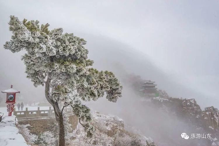 雪乡|今冬，去什么雪乡，在泰山上倾听雪落的声音！