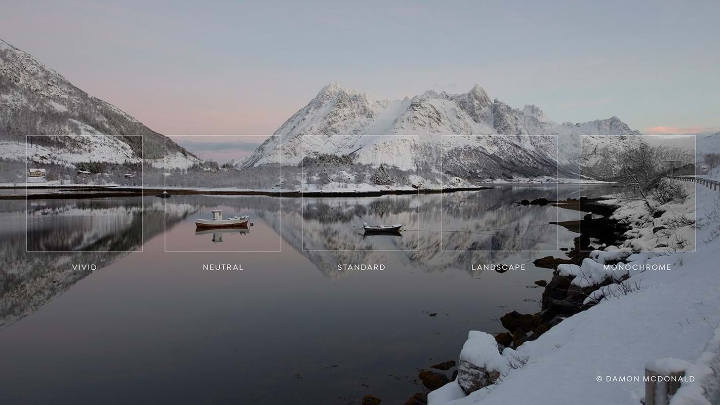 Capture One 21 Pro for Win v14.4.0.101 简体中文破解版