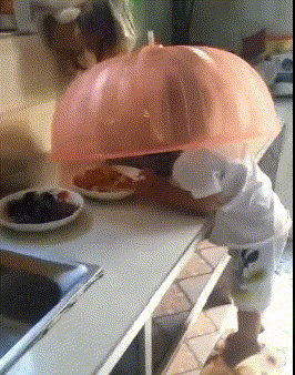 |搞笑GIF图:我总觉得姑娘这衣服是拼接的