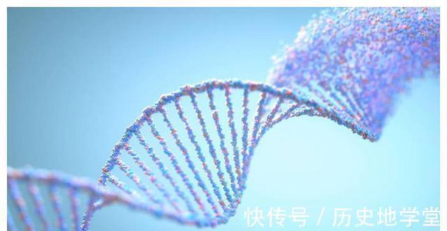 二胎|生二胎不是儿戏,四种家庭不建议生二胎,就算儿女双全也很难幸福