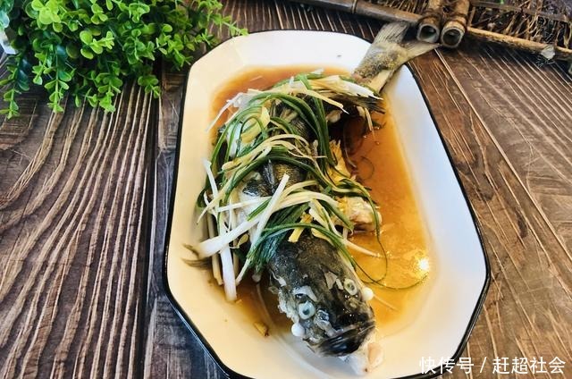 此鱼10块一条,却是珍贵补品,隔三差五吃一条,健脾养胃可补脑