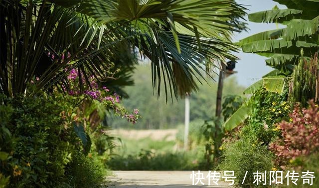 黄磊|《向往的生活》一根玉米见人品,何炅的美好,对所有人,包括农民