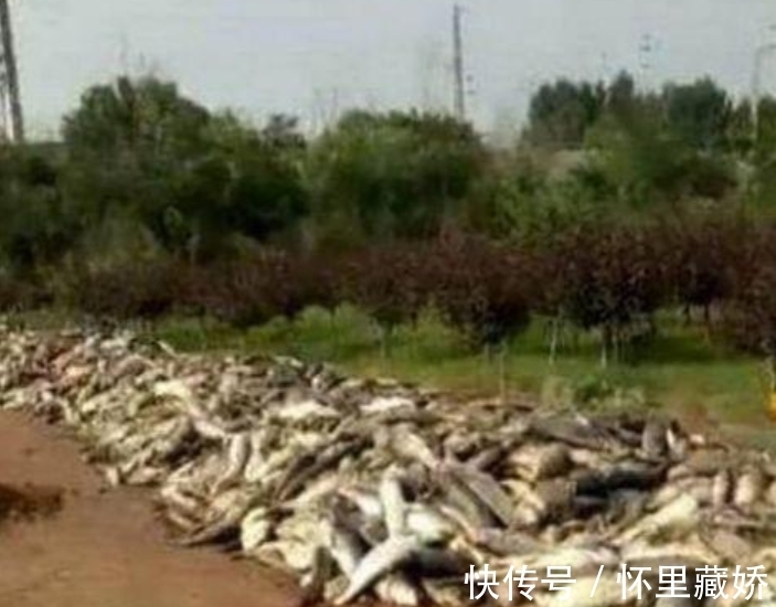 两小伙到私人水库钓鱼,被没收了千元鱼竿,三天后水库主人奔溃了