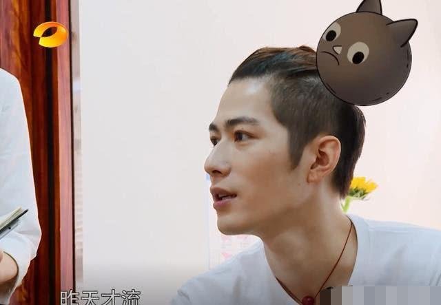 披荆斩棘的不是哥哥,是芒果tv的后期吧