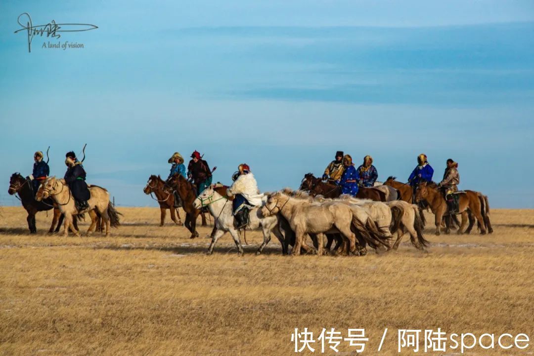 成吉思汗|西乌珠穆沁旗的白马个子不高，块头也不大，却是马群中的贵族