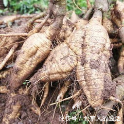妇科病|十个女性九个妇科病,常吃一物,排出子宫污血,预防妇科病