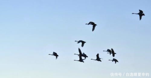 次韵|次韵范成大先生的《惜分飞·易散浮云难再聚》