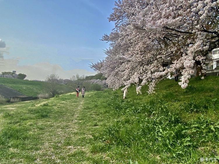 随处是风景