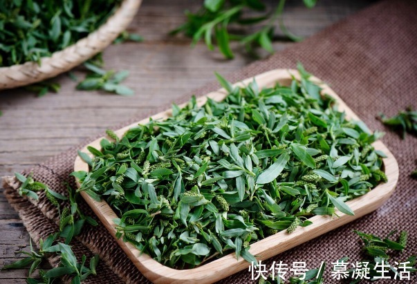 吃法|68种野菜图片，教你认识不同的野菜和吃法，你想要的野菜这里都有