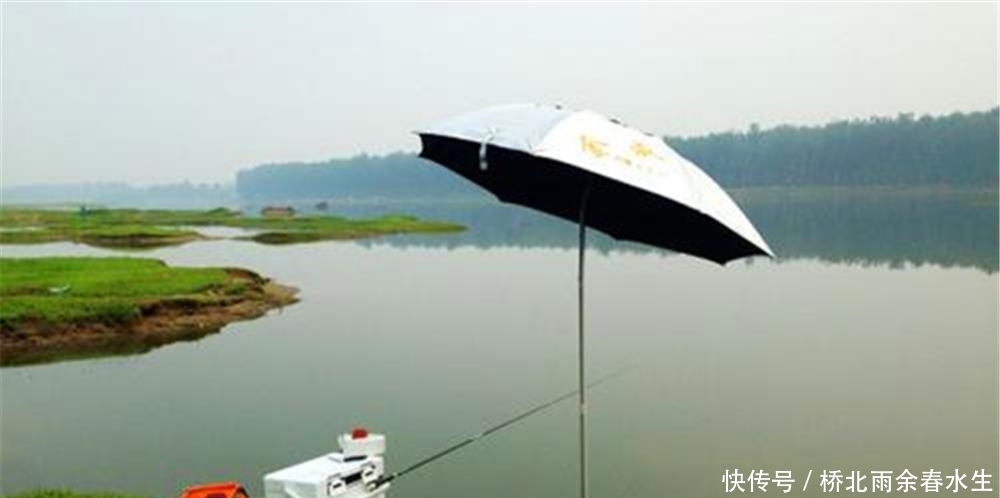 吃香|进入夏季,这些钓点变得“吃香”,底下鱼儿扎堆,不愁钓不到鱼!