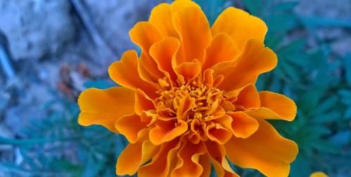 4种衬衫的搭配配色，让你美过整个春天，再不用羡慕别人穿衬衫好看了