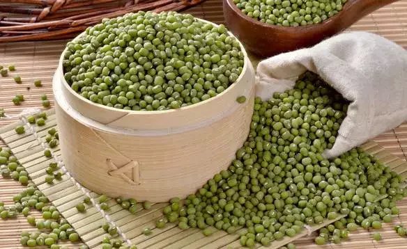 春節大魚大肉，試試這些東西給你的腸胃洗洗澡吧