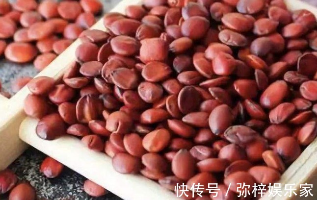 失眠多梦|晚上失眠多梦怎么办别着急,日常常见的酸枣仁,助你一觉到天亮