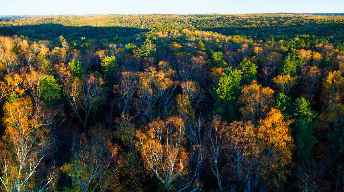 萨满舞|新藏靠边站!这个5w买房10w住别墅的小城,才是打工人的诗与远方