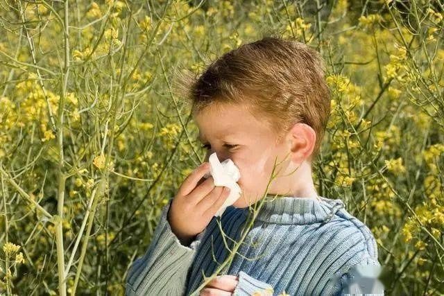 发烧|孩子打喷嚏发烧应该怎么照顾?这些护理方式你学会了吗?