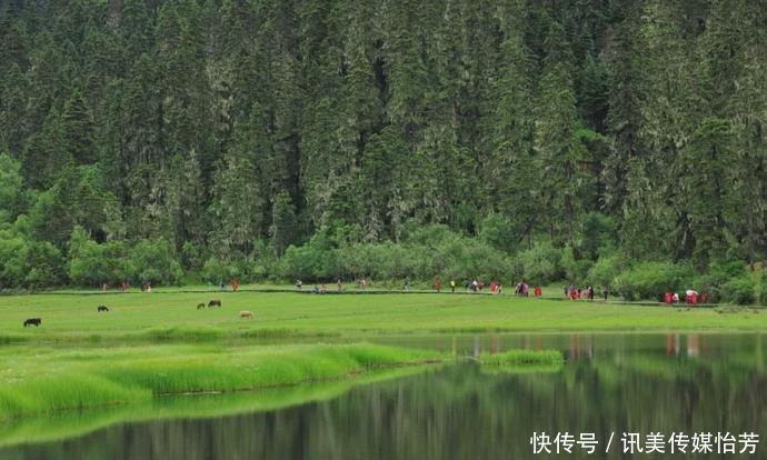 盛夏|盛夏的香格里拉,藏着世间所有的小美好