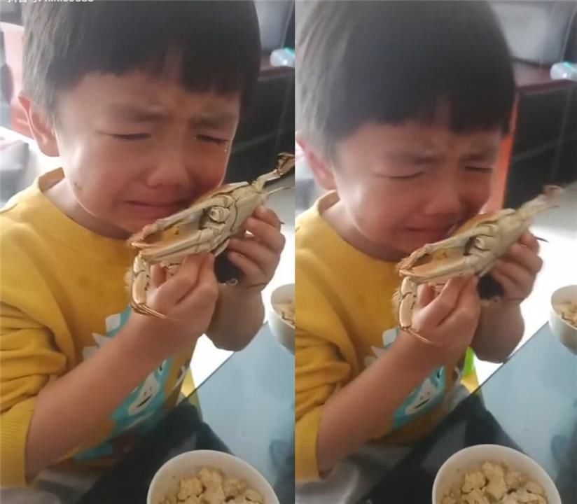 宝贝宠物|孩子的“宝贝宠物”上了餐桌,哭得上气不接下气,妈妈:好吃吗