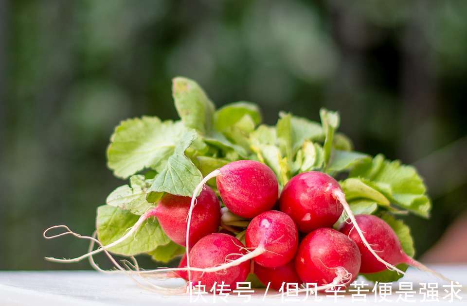 礦物質|喉嚨不舒服，有異物感，以下10種食物可以幫助潤喉止咳