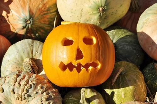 入夏了就应该多吃它，增强大脑功能，抗衰老，特别适合女性朋友