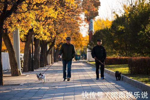 睡眠质量|晚饭后经常走路1个小时，对健康有益吗？晚上运动有3大注意事项