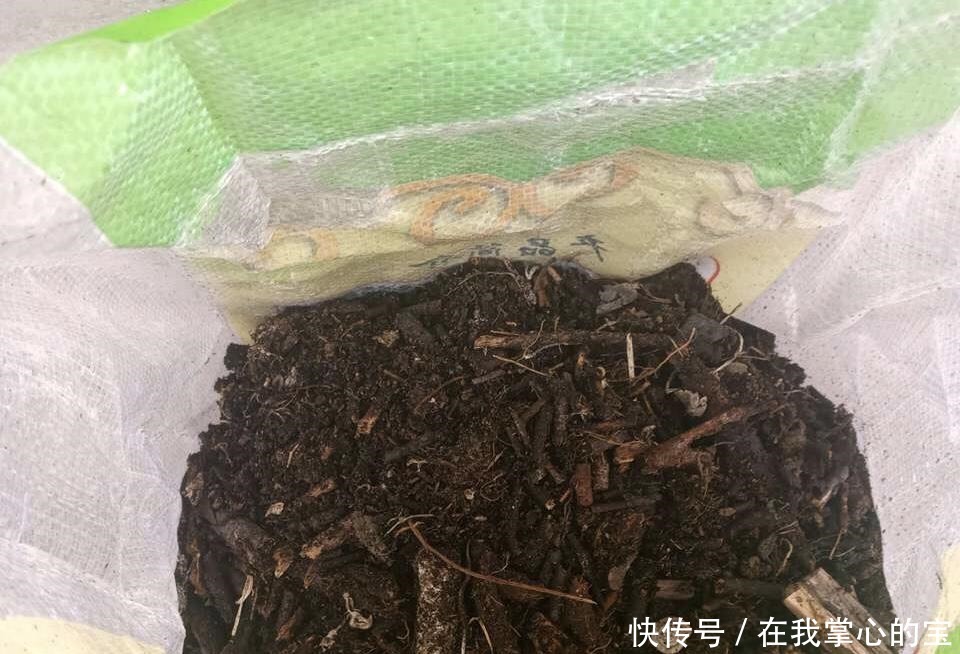 春天换盆“旧土”怎么办加2种“东西”,养花肥沃疏松,能爆盆!