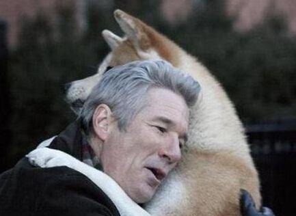 才子&千古绝对!上联穷死不卖看家狗 网友对出的下联经典到爆!