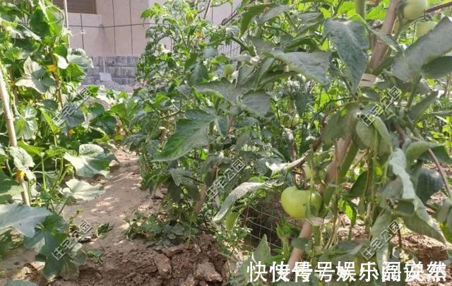 别墅|别拿一层不当别墅!5个真实案例,告诉你在农村建一层别墅有多爽