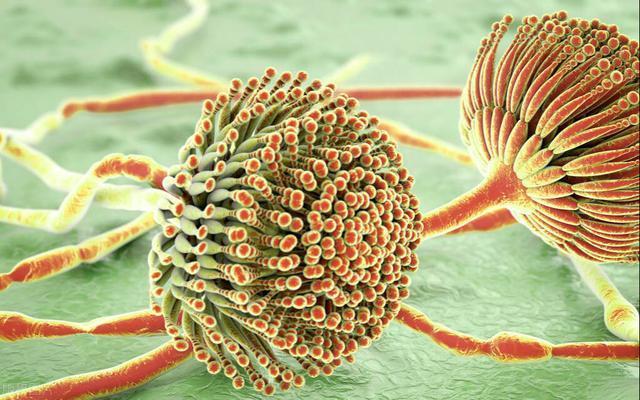 老晨|男子误以为是肩周炎，却查出肝癌，医生是妻子的无知害了他